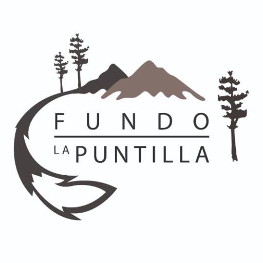 CITACIÓN ASAMBLEA GENERAL ONLINE PROPIETARIOS PARCELAS “FUNDO LA PUNTILLA”
