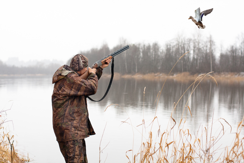 LEY DE CAZA Y PESCA RECREATIVA